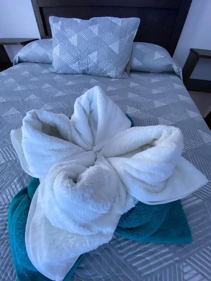 Twin Palms Lodge Monteverde Bagian luar foto